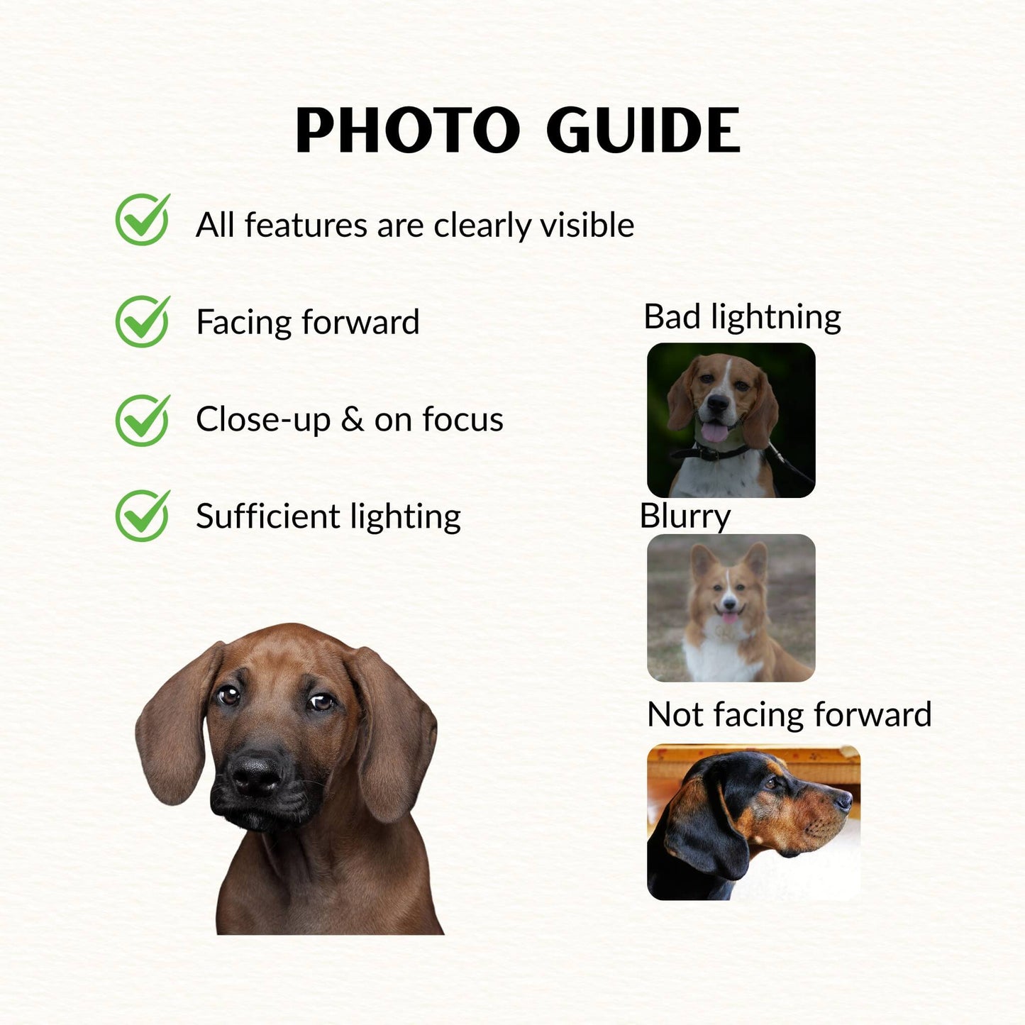 Custom photo Blanket l Pet Photo + Name